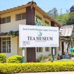 Munnar-Destination-Munnar-Tour-Package-tea-museum-Kerala-India-Southern-India-By-Car-and-Driver