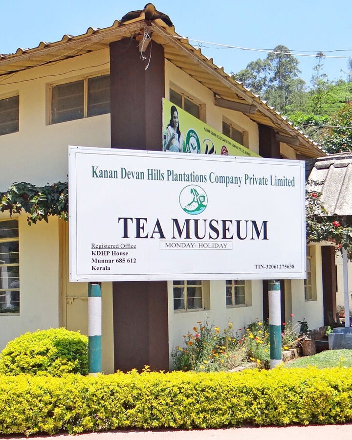 Munnar-Destination-Munnar-Tour-Package-tea-museum-Kerala-India-Southern-India-By-Car-and-Driver